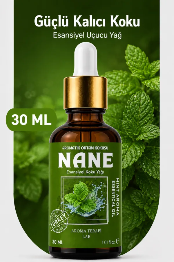 Nane Aromatik Koku Yağı 30 ml Cam Çubuklu Şişe Aroma Terapi Türkiye Nane Aromatik Koku Yağı 30 ml Cam Çubuklu Şişe